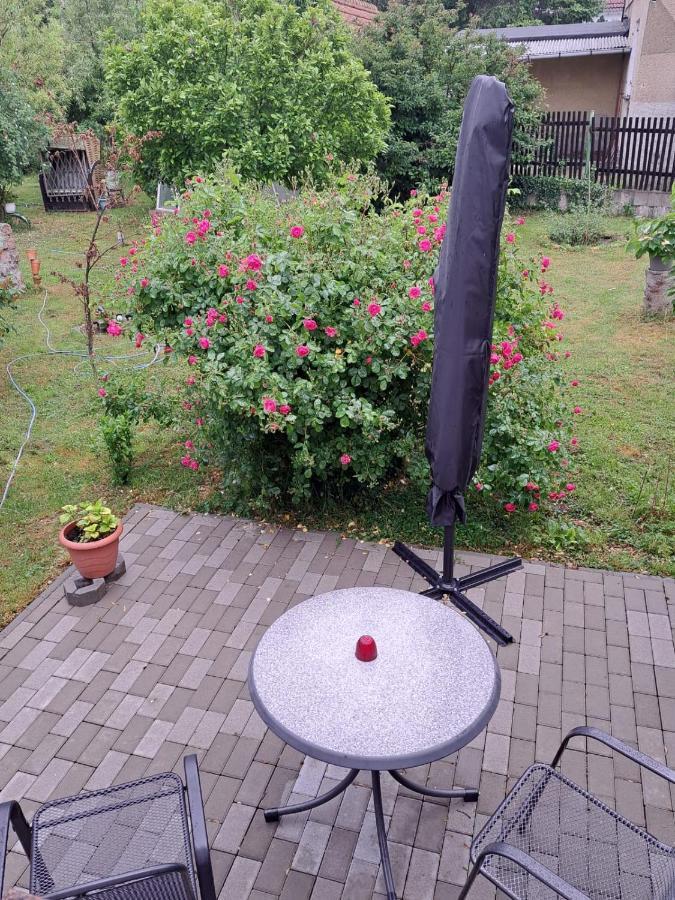 באלנשטאדט Ferienwohnung Rosengarten מראה חיצוני תמונה