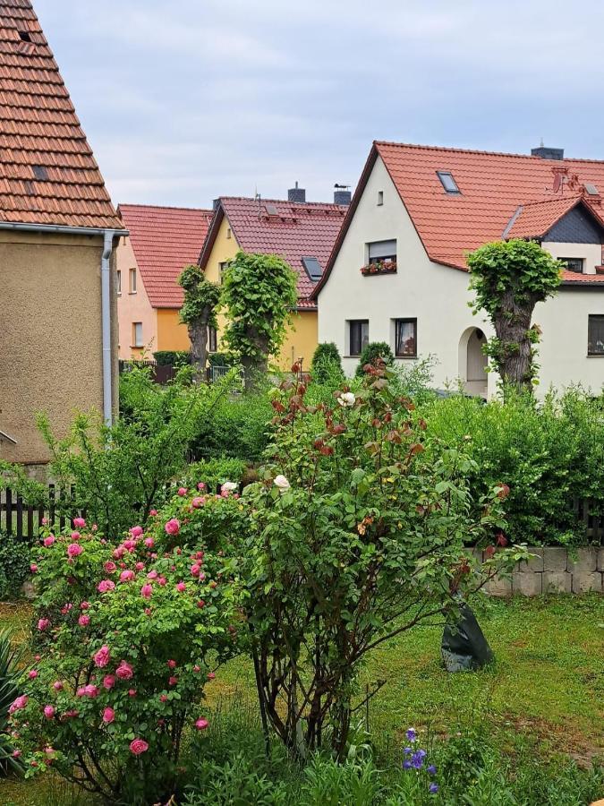 באלנשטאדט Ferienwohnung Rosengarten מראה חיצוני תמונה